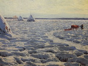 Pantanos lituanos bajo la nieve
